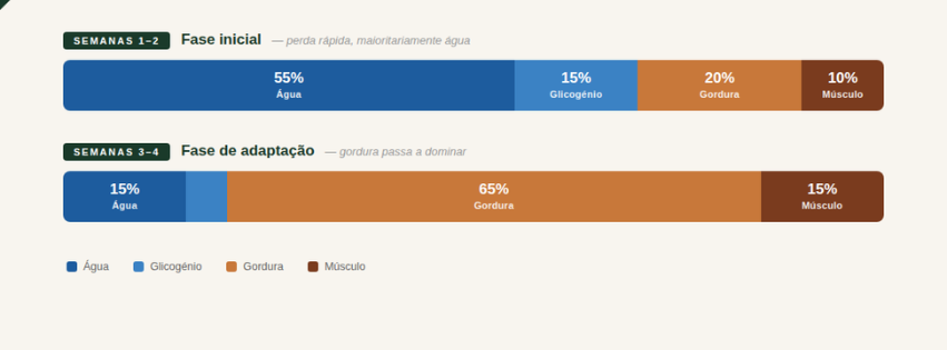 processo de perda de peso o que acontece